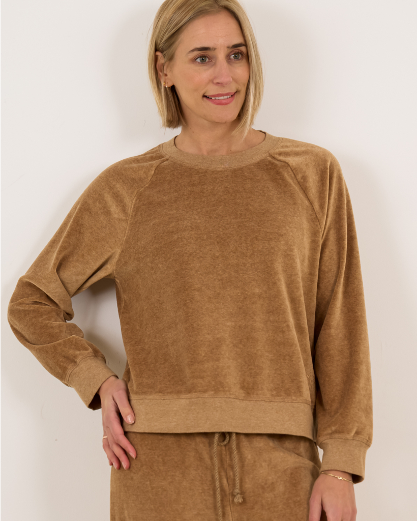 Pierre crewneck sweater brown