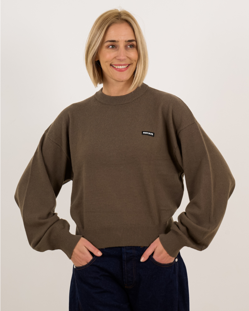 Basic Crewneck Sweater - Crocodile