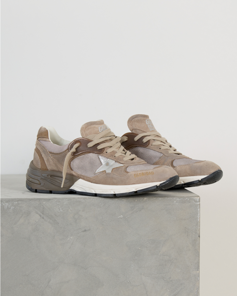 Dad Star Sneakers with Mesh and Suede in Beige/Silver