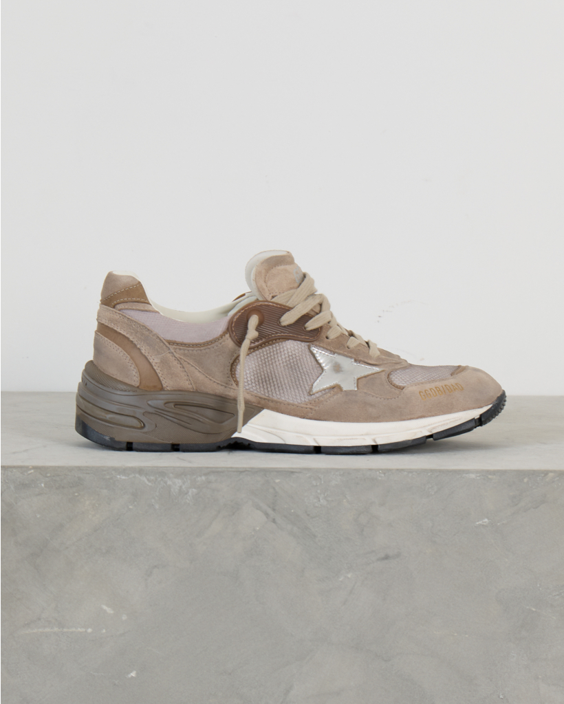 Dad Star Sneakers with Mesh and Suede in Beige/Silver