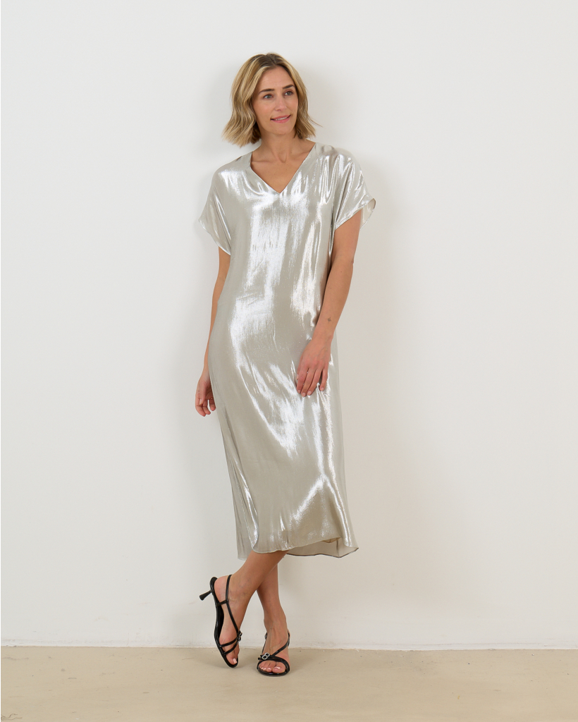 Goldaming Dress Silver Glitter