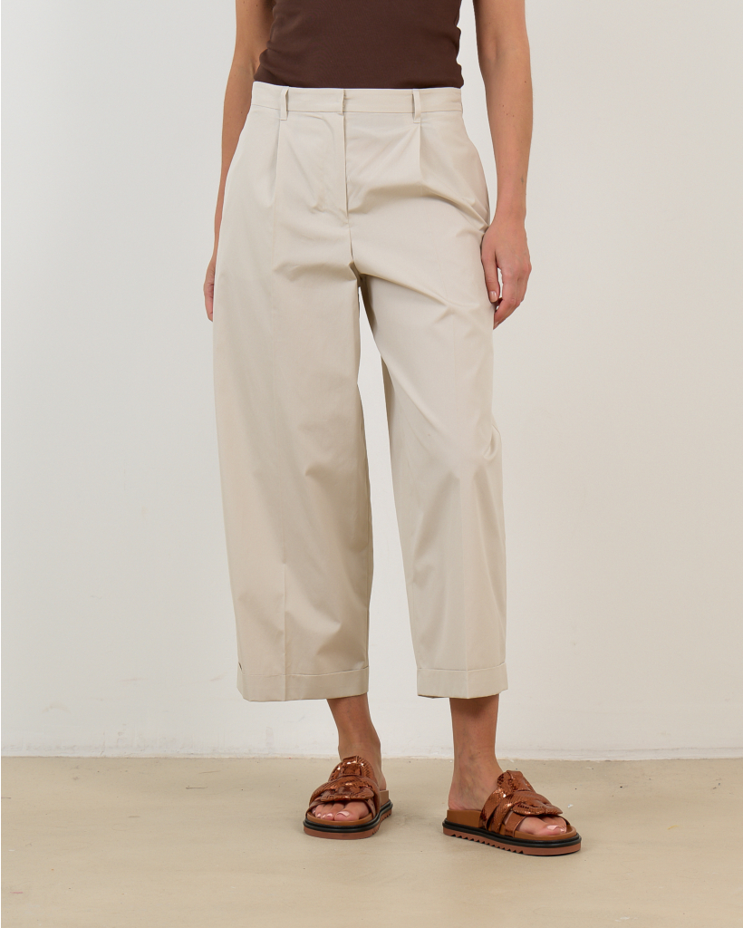 Regular Fit Beige Trousers