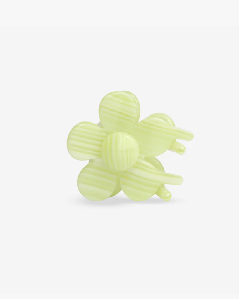 PISTACCIO women's accessories