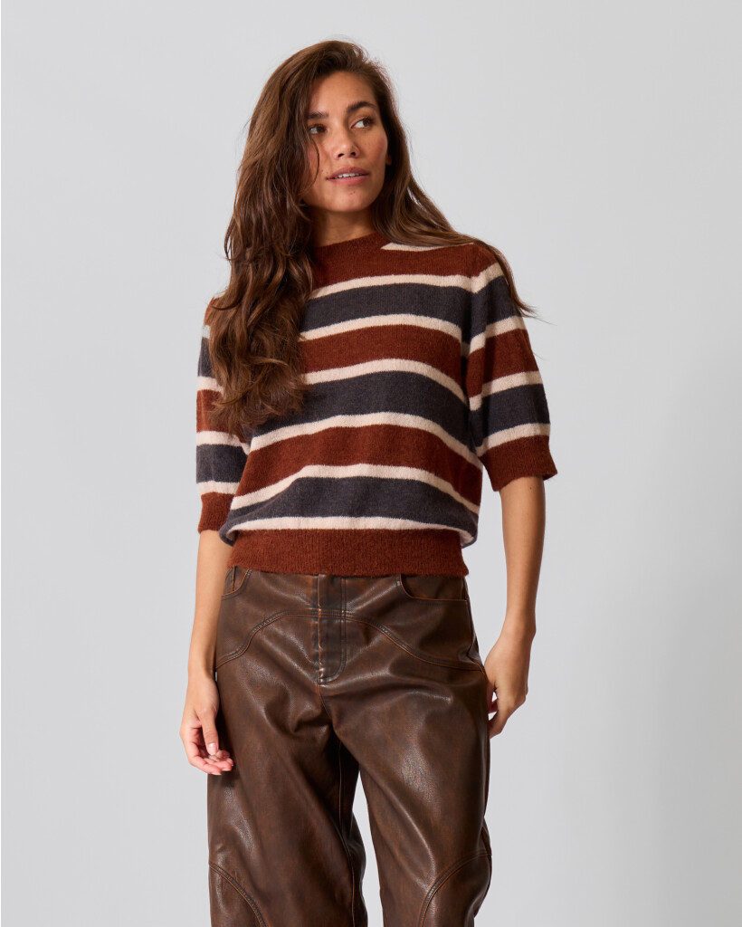 Sanidy Striped Short Sleeve Sweater Brick