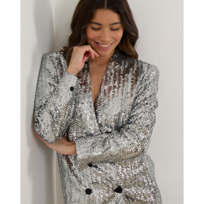 Anine Bing Veneda Mini Dress Silver Sequin