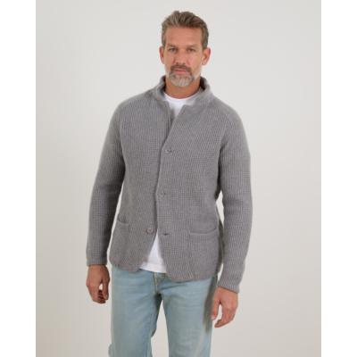 Doriani Cashmere Wool and Cashmere Vest with Button Closure Grey