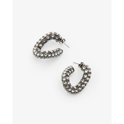 Isabel Marant Funky Ring Earrings Silver