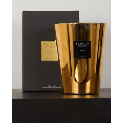 Baobab Collection Scented candle Aurum Max24