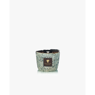 Baobab Collection Geurkaars Brame Sylvanus Max 10