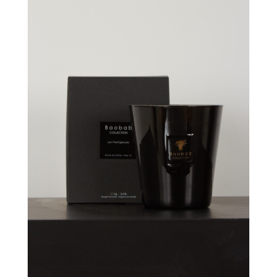 Baobab Collection Scented candle Encre de Chine Max16